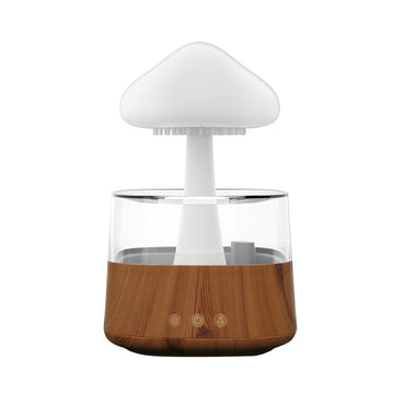 Buy Cloud Humidifier